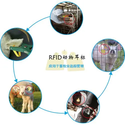 rfid電子標(biāo)簽