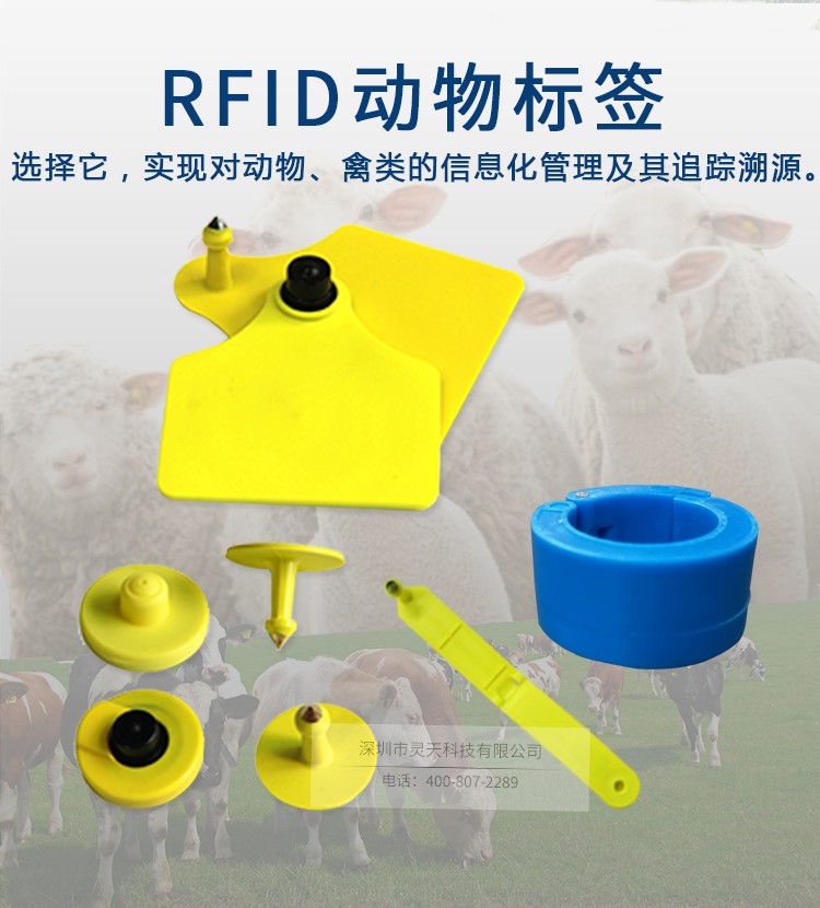 rfid電子標(biāo)簽